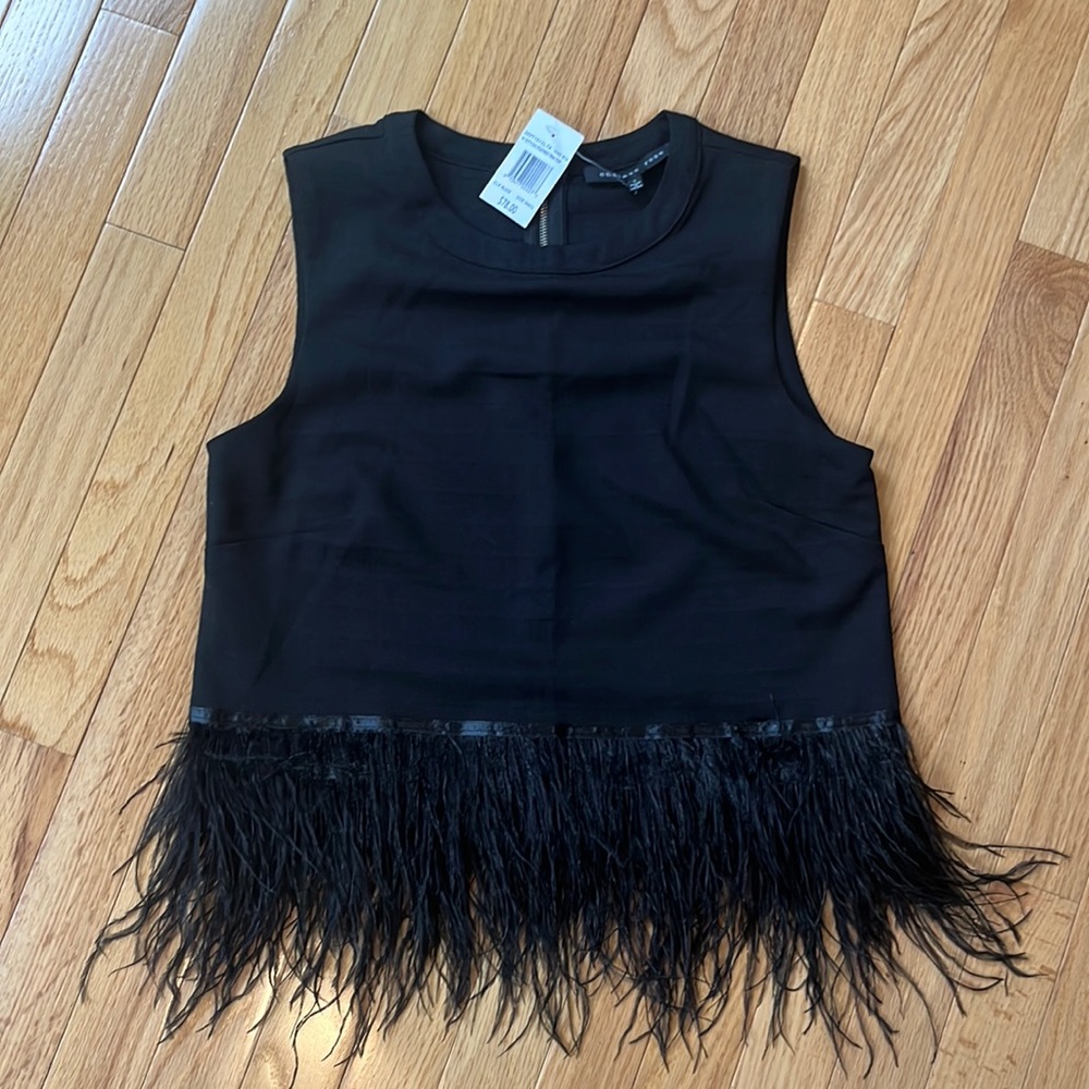 Endless Rose Feather Top